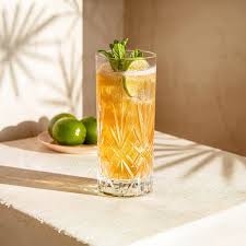 Mint Mojito